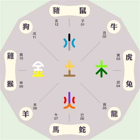 軒字五行|軒字的五行属性